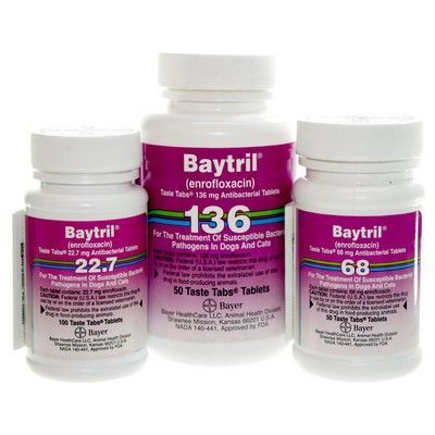 Baytril Tablets