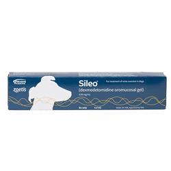 Sileo Gel Syringe